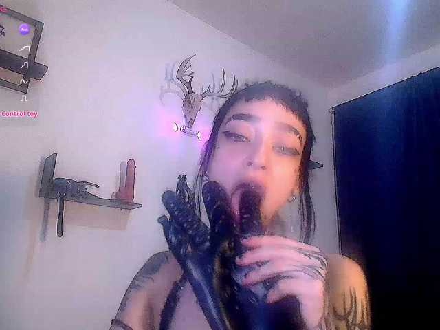 DakariaHills live cam on BongaCams