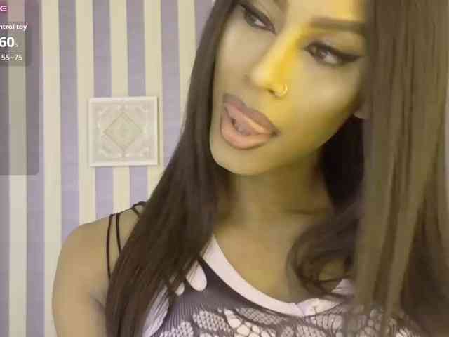 blackbeauty-ts