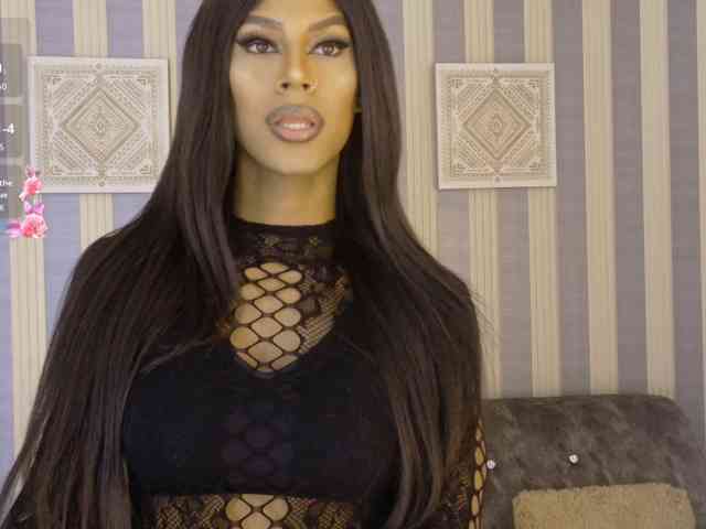 blackbeauty-ts