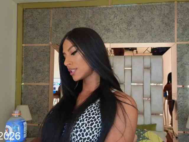 blackbeauty-ts