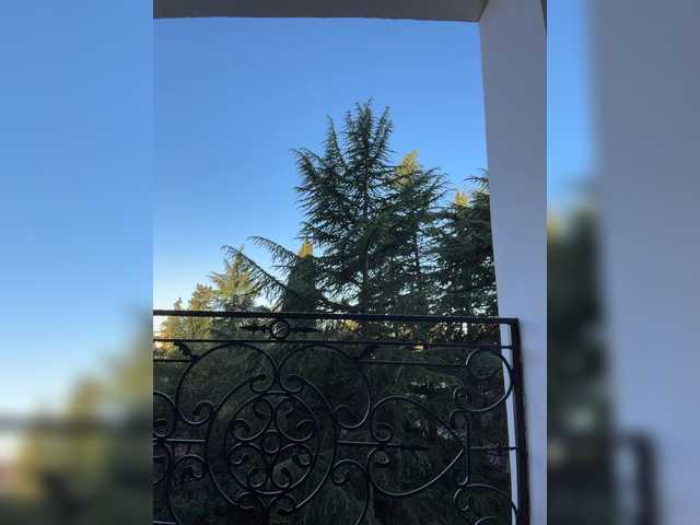 Jessicalife Nude Live Sex Shows