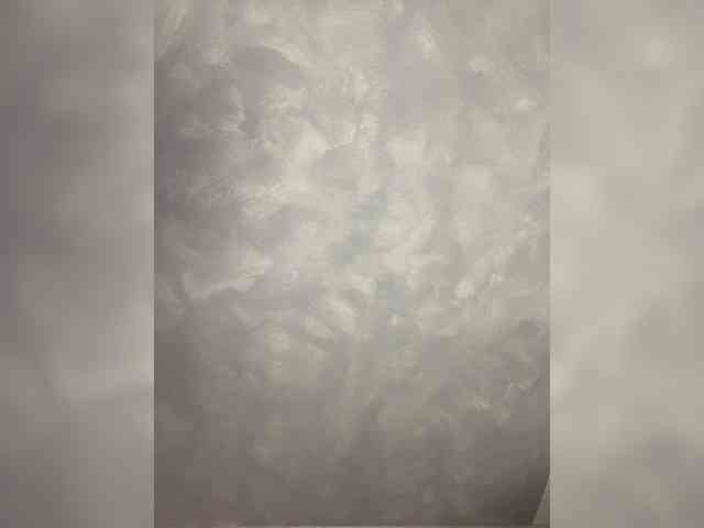 HumbleBlossom webcam