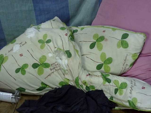 Preview of hottiemee