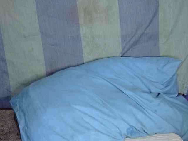 HOTTIEMEE webcam