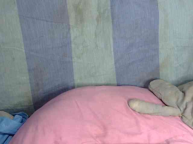 HOTTIEMEE webcam