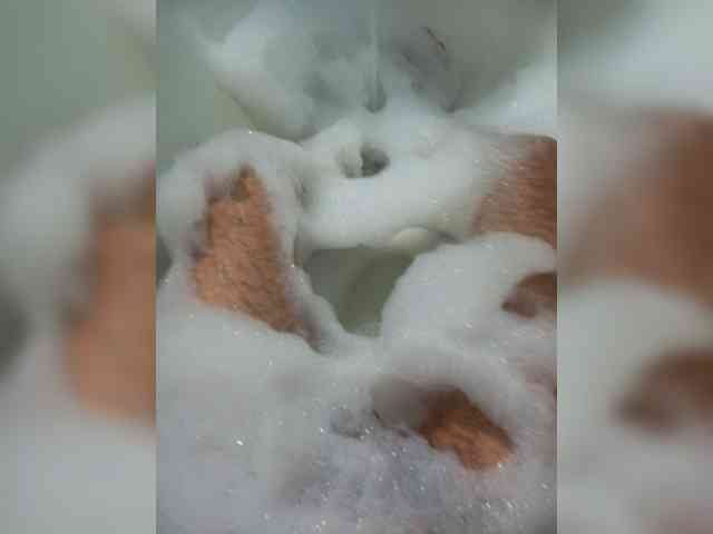 Marvic