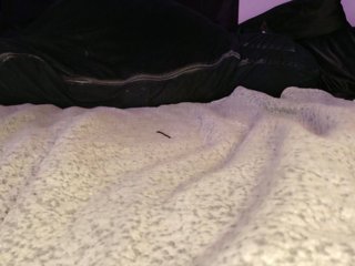 Midnightrose11 Porn Show