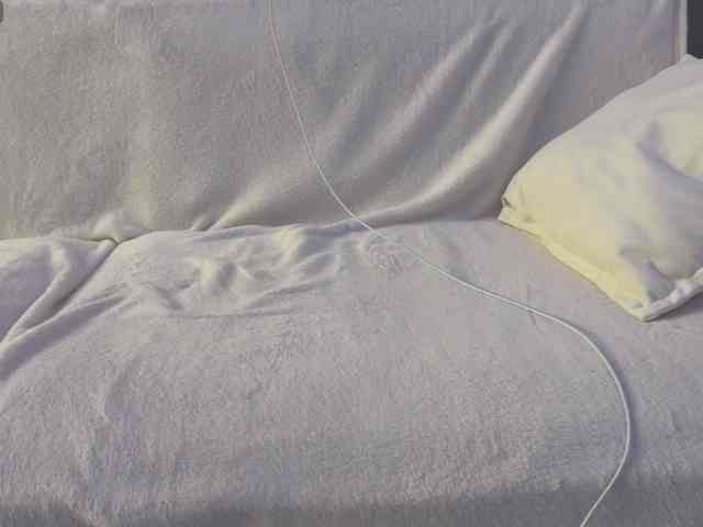Pripev0chka webcam