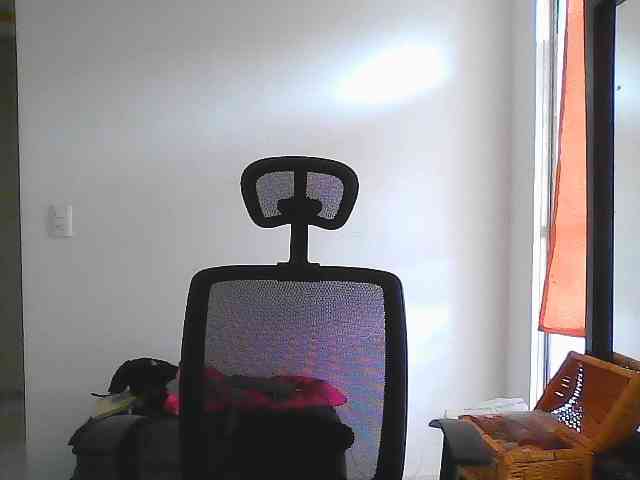 facepvt webcam