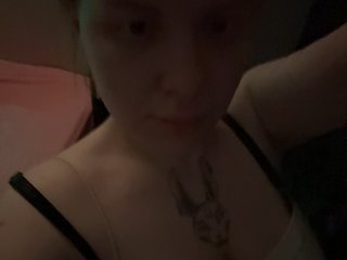 kittykoshechkkaa