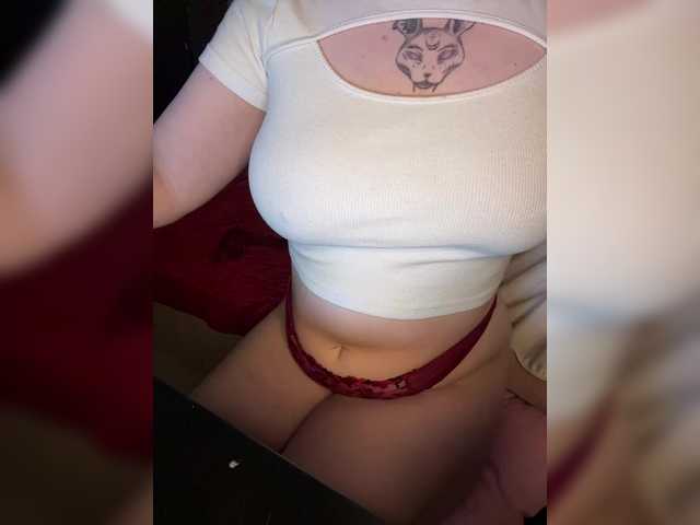 kittykoshechkkaa live cam