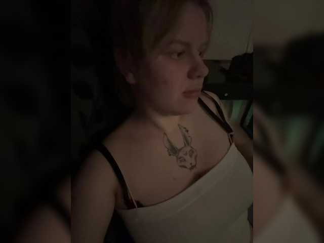 kittykoshechkkaa
