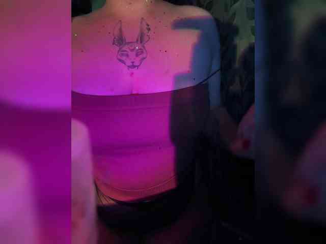 kittykoshechkkaa webcam