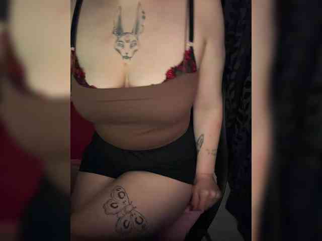 kittykoshechkkaa webcam