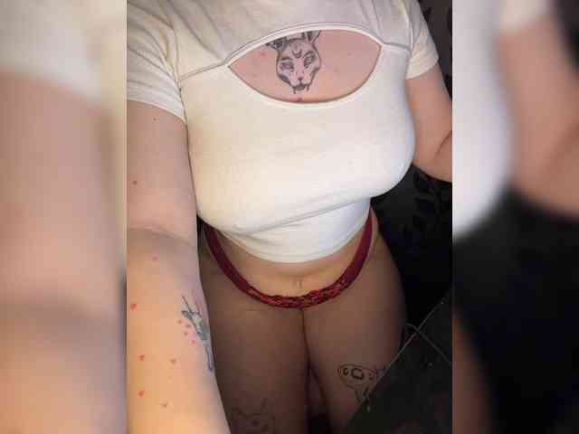 kittykoshechkkaa webcam