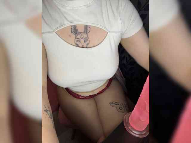 kittykoshechkkaa webcam