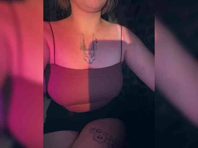 kittykoshechkkaa webcam