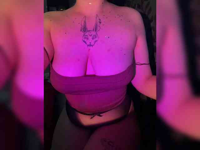 kittykoshechkkaa webcam