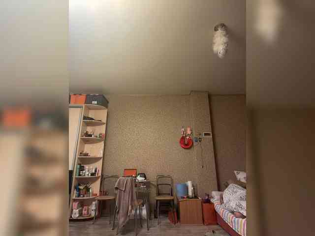 HelgaLeo webcam