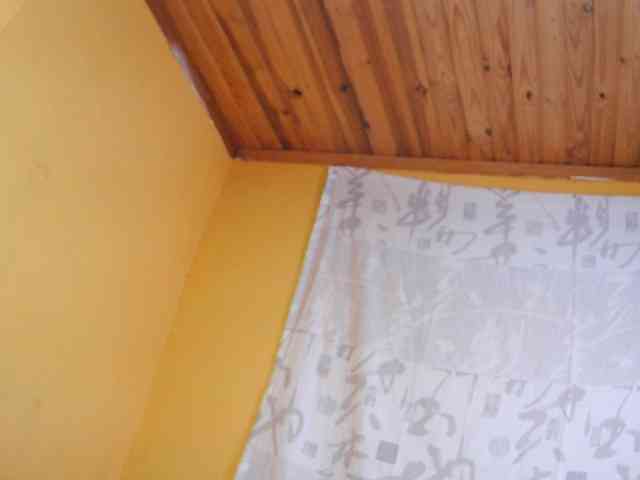 AngelHotxx