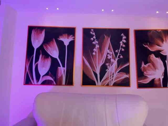 AllisonRogers webcam