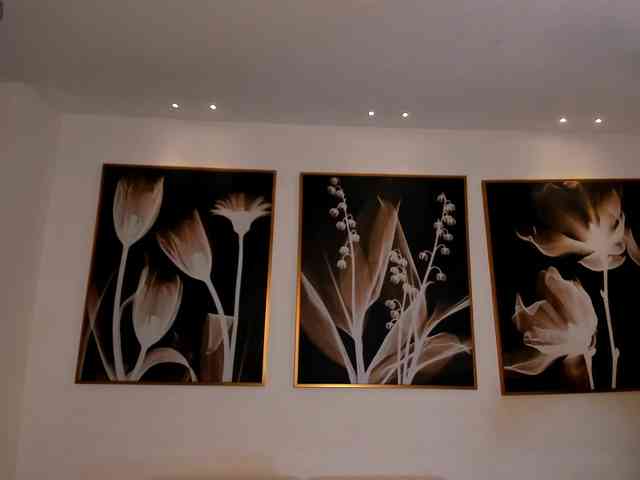 AllisonRogers webcam