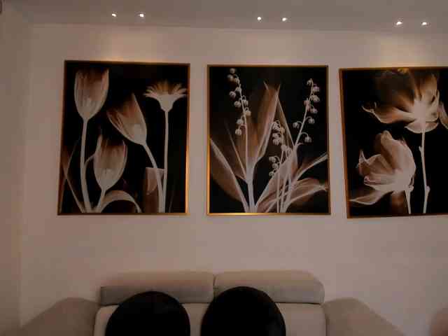 AllisonRogers webcam