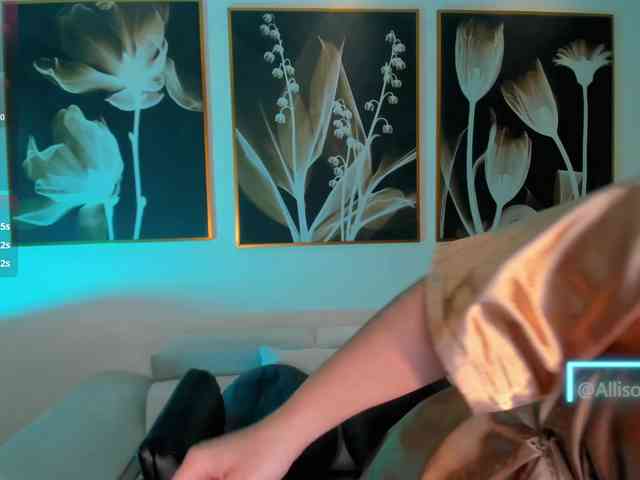 AllisonRogers webcam