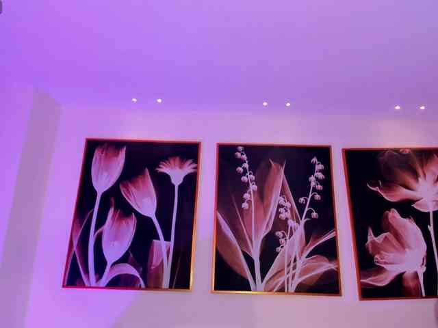 AllisonRogers webcam