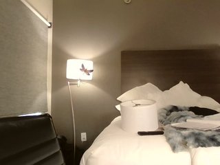 Adelaideskyy Porn Show