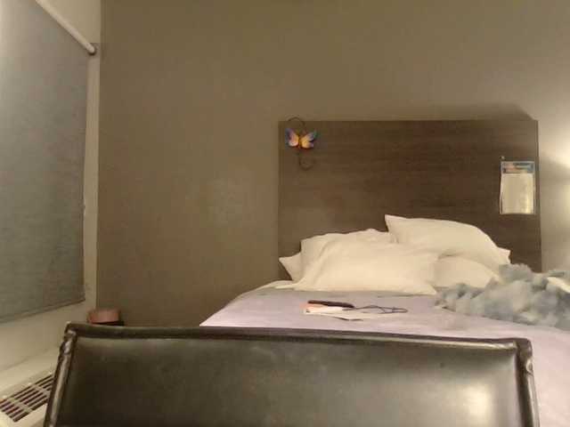 Adelaideskyy live cam on BongaCams