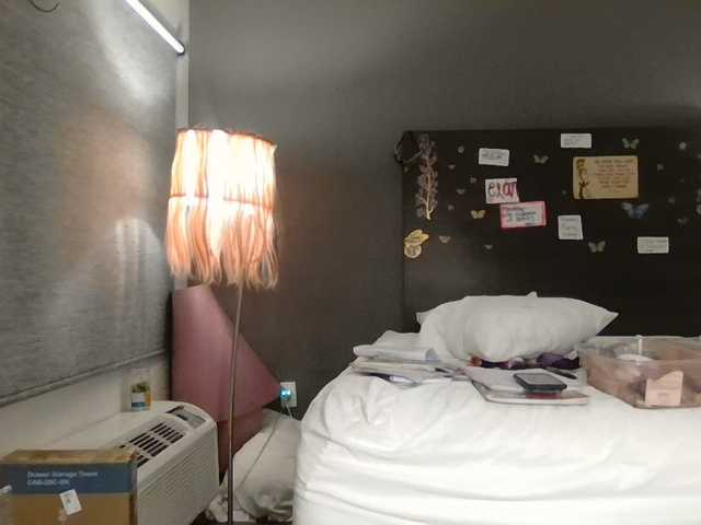 Adelaideskyy live cam on BongaCams