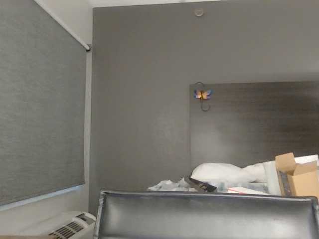 Adelaideskyy live cam on BongaCams