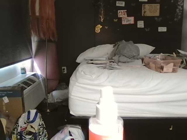 Adelaideskyy live cam on BongaCams