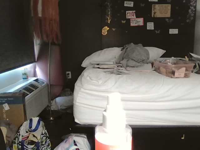 Adelaideskyy live cam on BongaCams