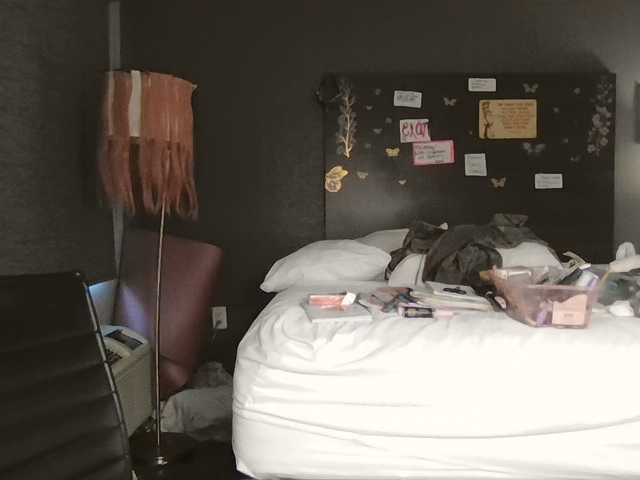 Adelaideskyy live cam