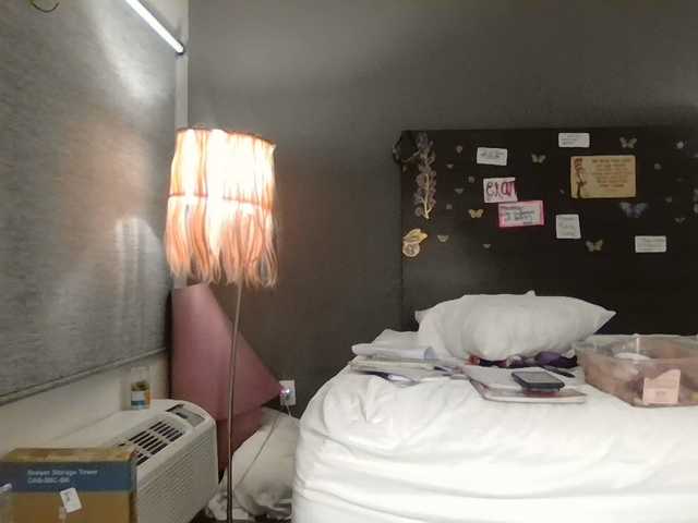 Adelaideskyy live cam on BongaCams