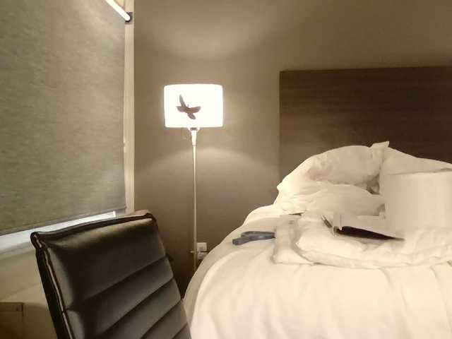 Adelaideskyy live cam