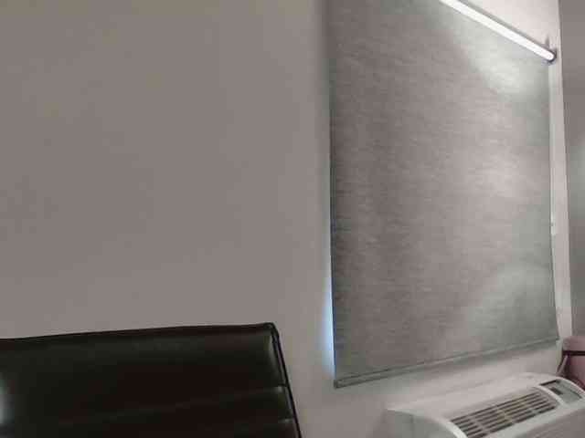Adelaideskyy webcam