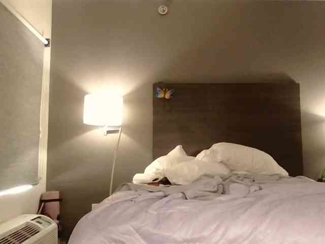 Adelaideskyy webcam