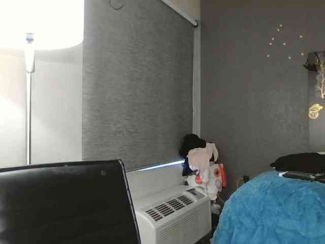 Adelaideskyy webcam