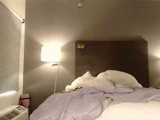 Adelaideskyy webcam
