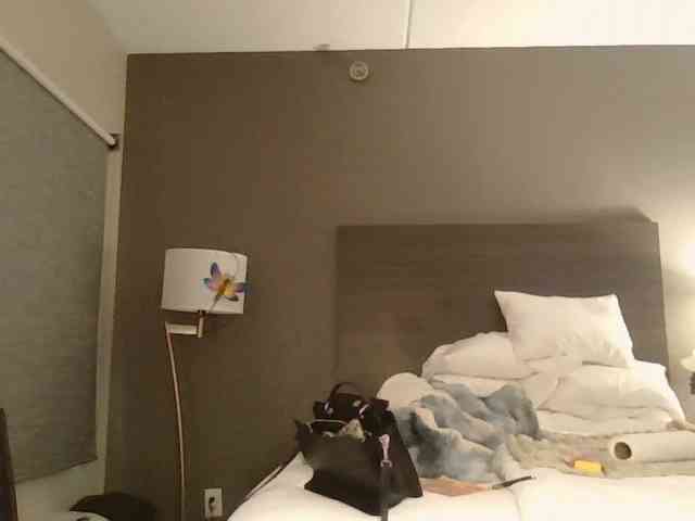 Adelaideskyy webcam