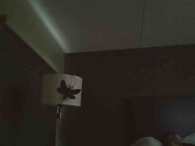 Adelaideskyy webcam
