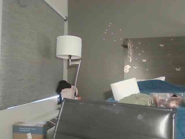 Adelaideskyy webcam