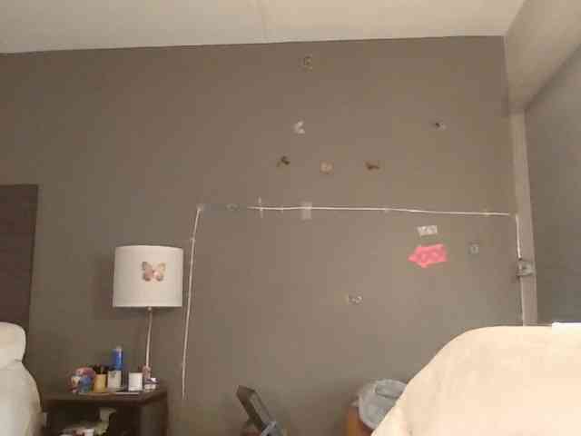 Adelaideskyy webcam