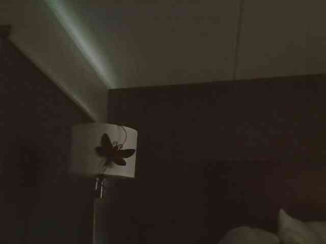 Adelaideskyy webcam