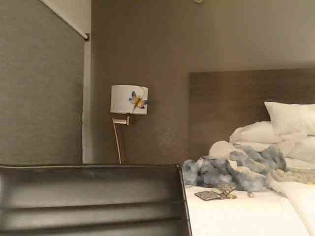 Adelaideskyy webcam