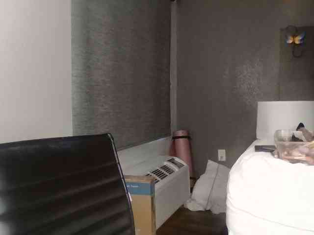 Adelaideskyy webcam