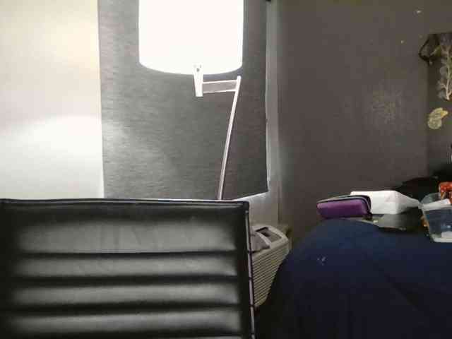 Adelaideskyy webcam